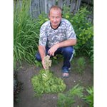Парфеновы