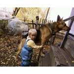 Шептицкие