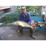 Александр, рыба судак, 9 кг, пойман в районе Казанского речного порта, 28 августа
