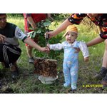 Сабировы