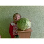 Алина Губеева