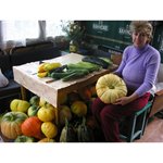 Дачные фото Мухутдиновой Наташи